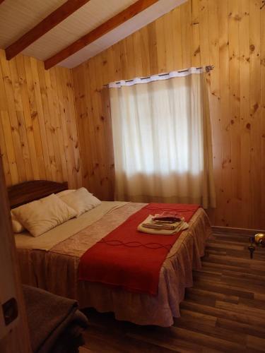 Cabaña irenio — Panguipulli — photo 4