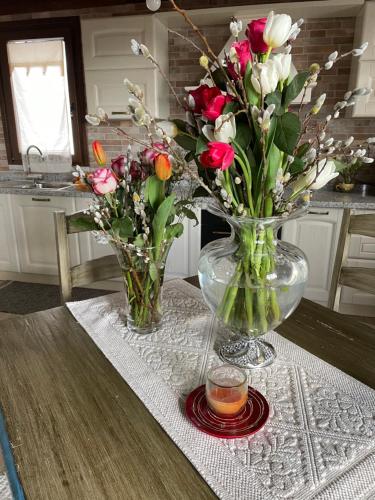 Papagaio Flats - carbon neutral hotel in Valenca
