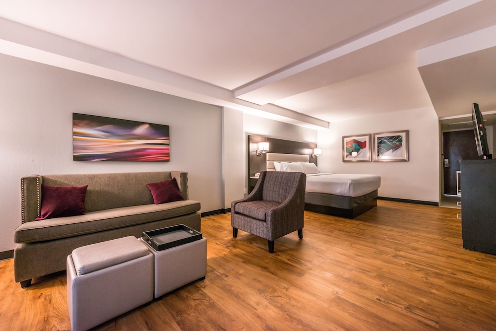 Holiday Inn Hotel & Suites Beaumont Plaza by IHG - photo 9
