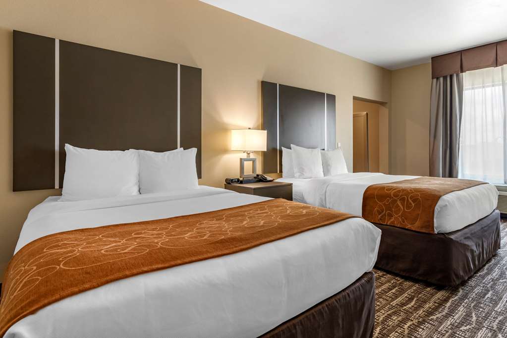 Comfort Suites Near Sam Houston Race Park - photo 7