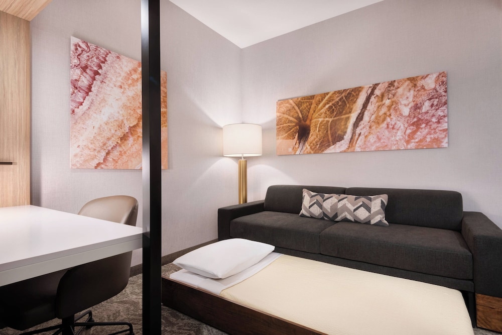 SpringHill Suites by Marriott Tifton - photo 7