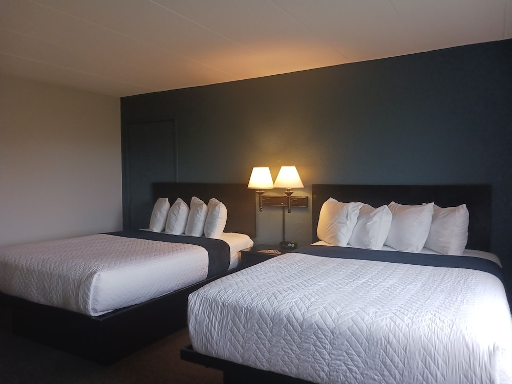 The Oasis Hotel & Bar - photo 15