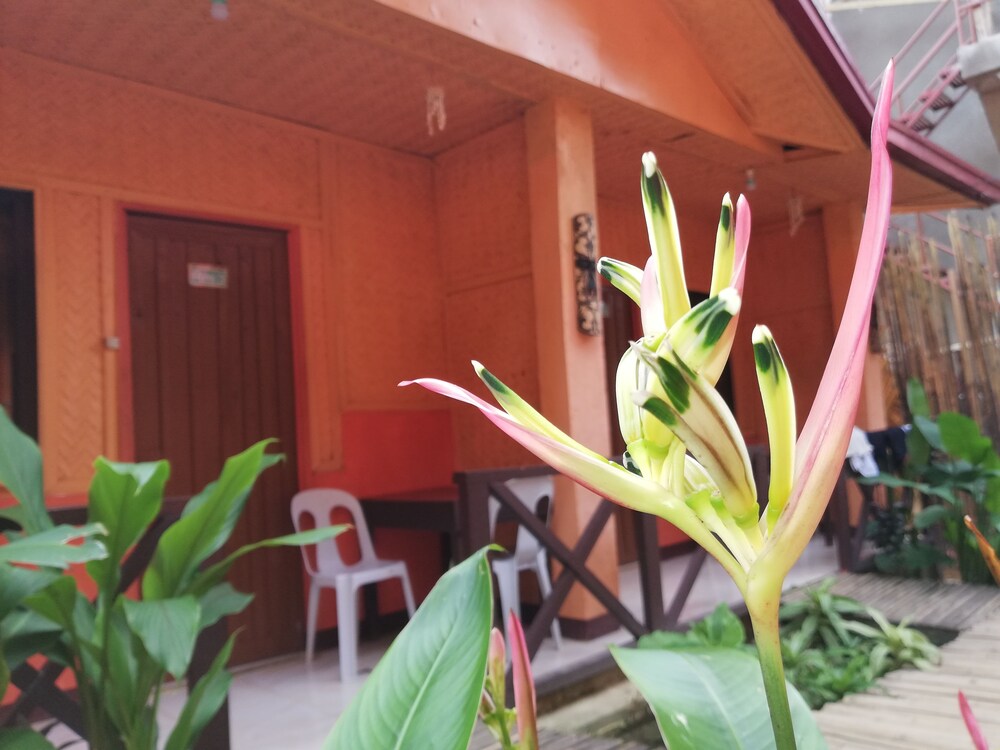Forest Inn - carbon neutral hotel in El Nido