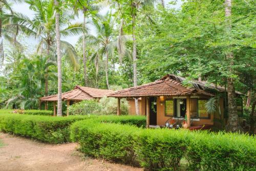 Natures Nest Resort - last minute hotel in Mormugao