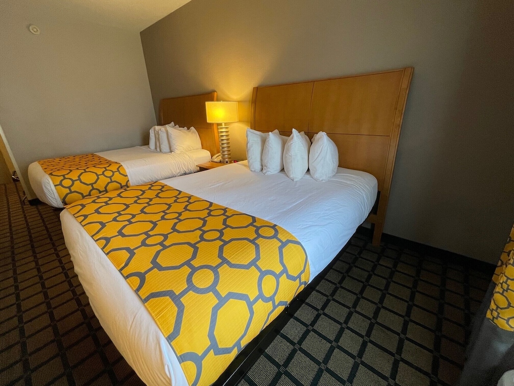 Baymont by Wyndham West Plains - photo 8