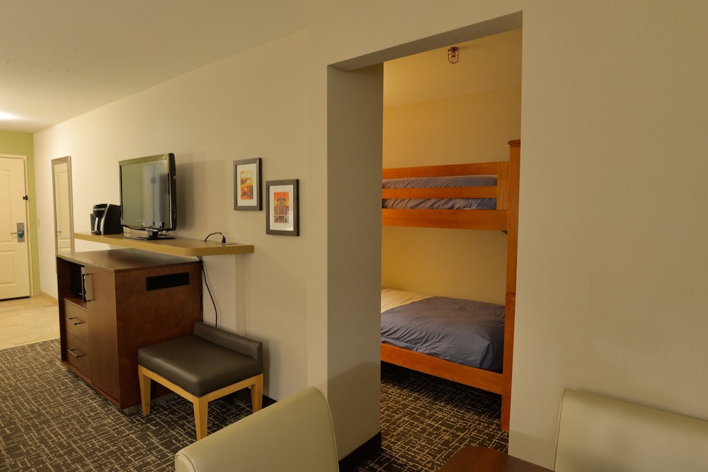 Holiday Inn Hotel & Suites Minneapolis Lakeville by IHG - photo 20