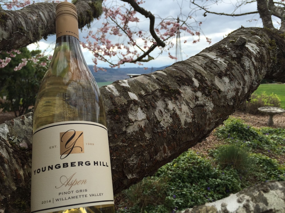 Youngberg Hill - photo 44