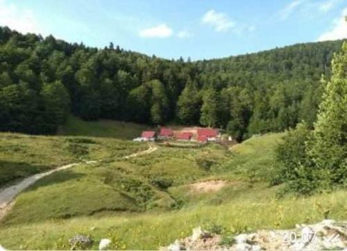 Dulović Katun Potoci in Kolasin, Montenegro