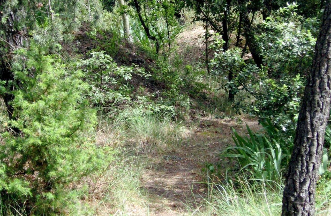 Clos du Veyrier — Bedoin — photo 3