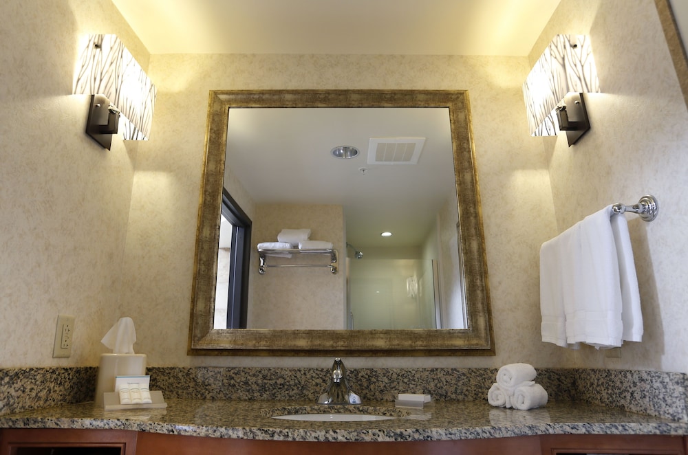 Hilton Garden Inn Cedar Falls - photo 28