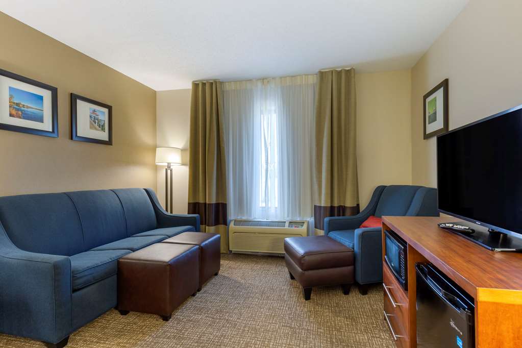 Comfort Inn & Suites Cambridge - photo 8