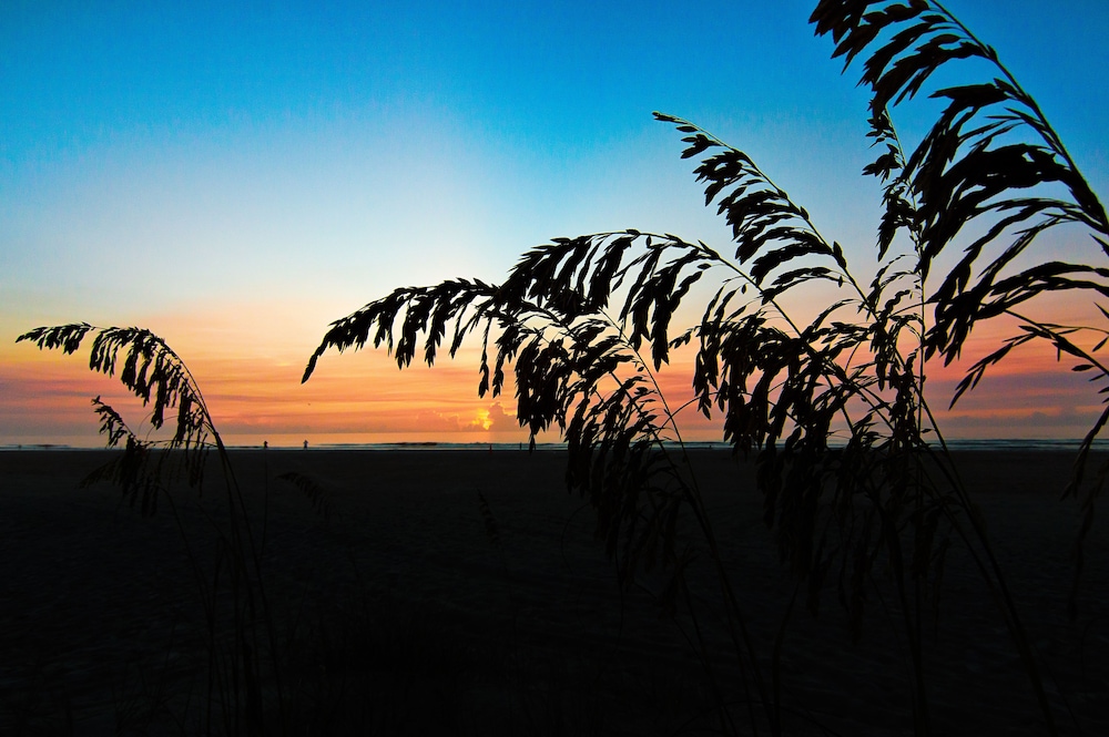 Guy Harvey Resort on St Augustine Beach - photo 81