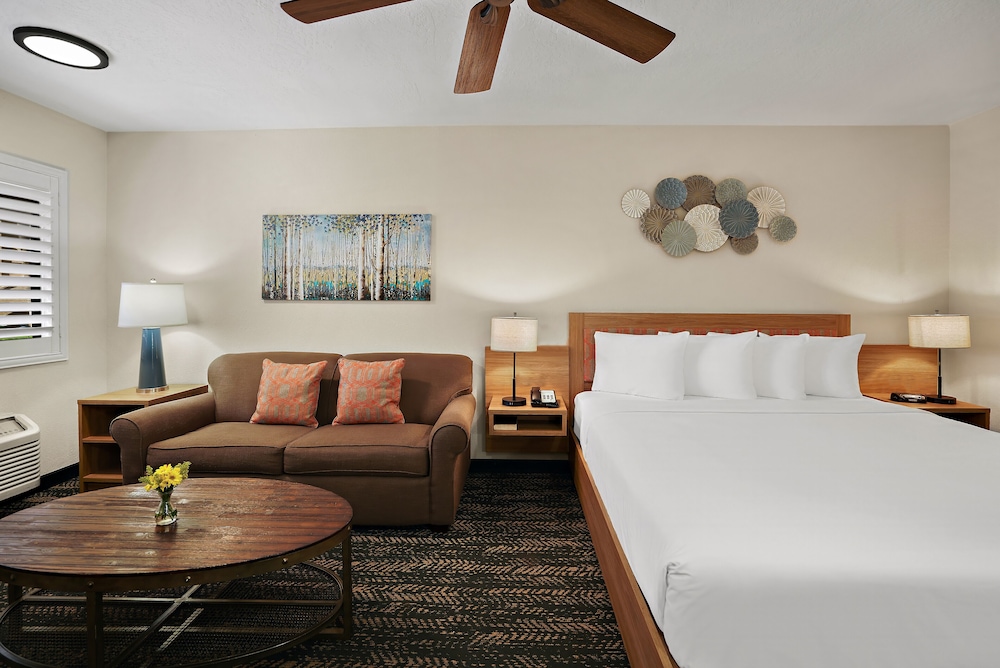 La Fuente Inn & Suites - photo 9