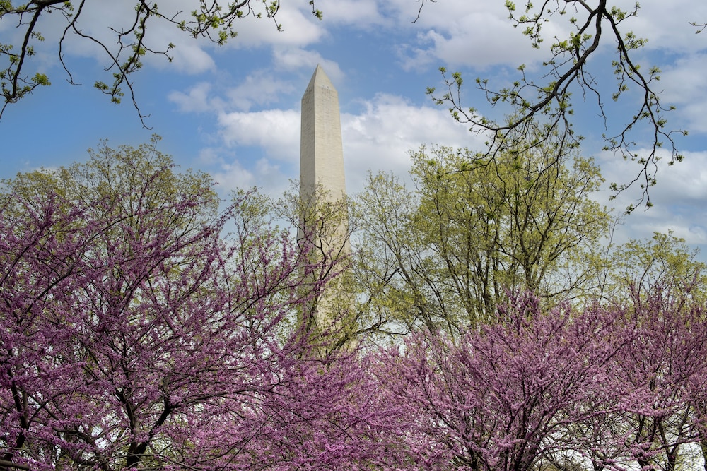 Residence Inn Washington DC Foggy Bottom - photo 28