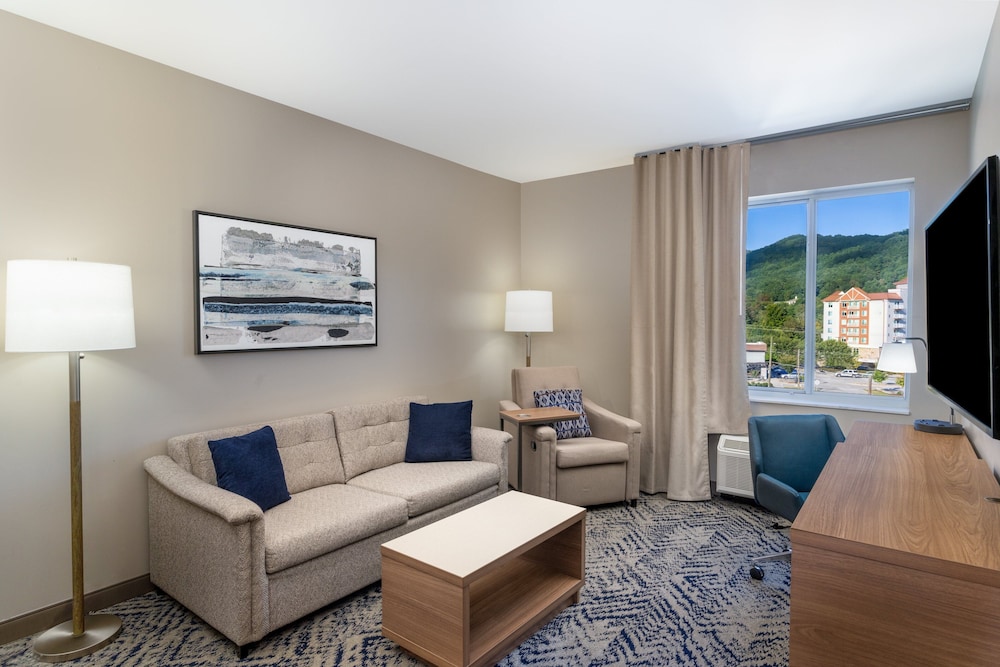 Candlewood Suites Asheville Downtown by IHG - photo 25