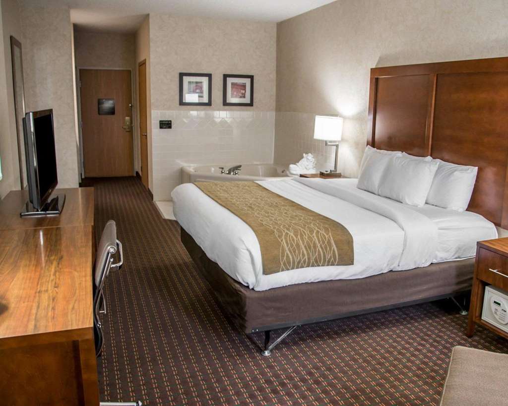 Comfort Inn & Suites Riverview near Davenport and I 80 - photo 18