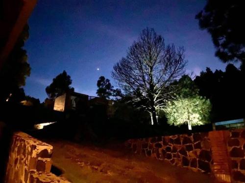 El Cielo Hotel Boutique pet-friendly hotel San Miguel Ajusco