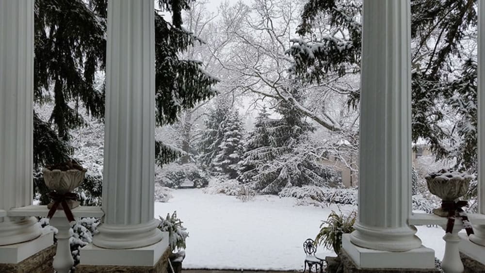 Albemarle Inn - photo 128