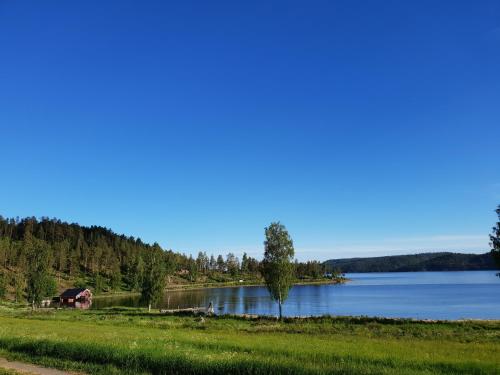 Boathouse — Unknown City — photo 4