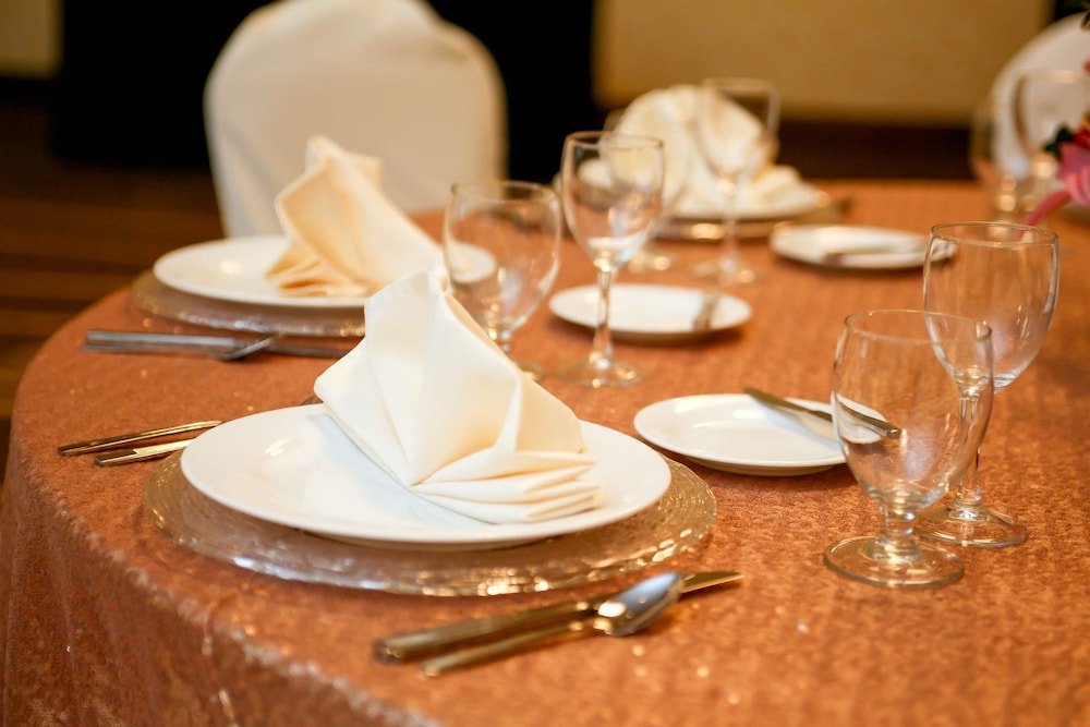 Hilton Garden Inn San Antonio Live Oak Conference Center - photo 59