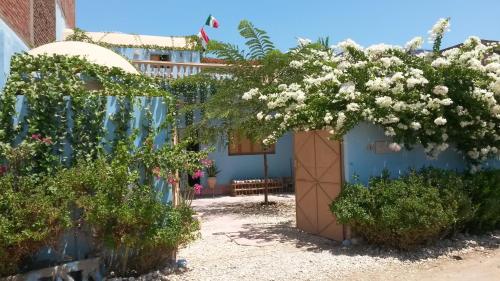 Villa Diletta Luxor — 4-Star Luxury Hotel in Luxor, Egypt