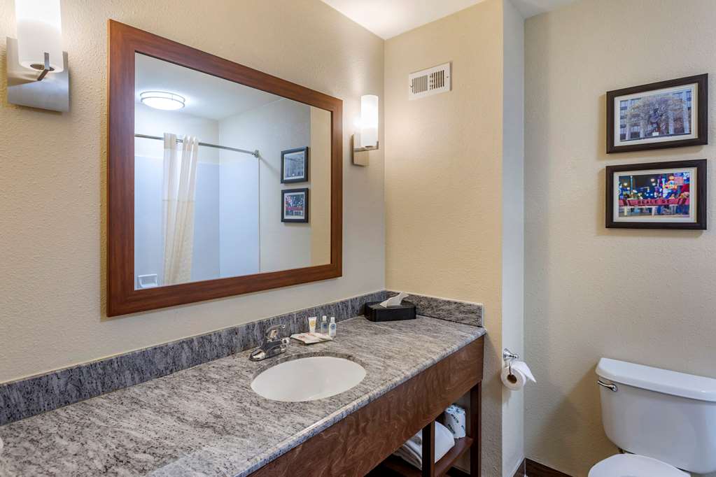 Comfort Inn & Suites Atoka Millington - photo 8