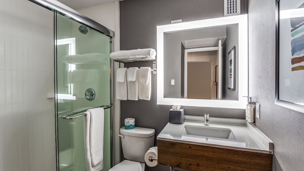 Staybridge Suites Dallas Market Ctr Love Field by IHG - photo 26