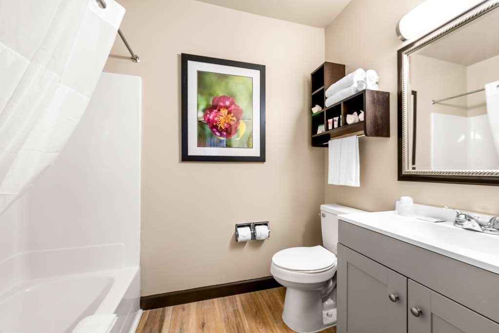 Americas Best Value Inn Marquette - photo 28