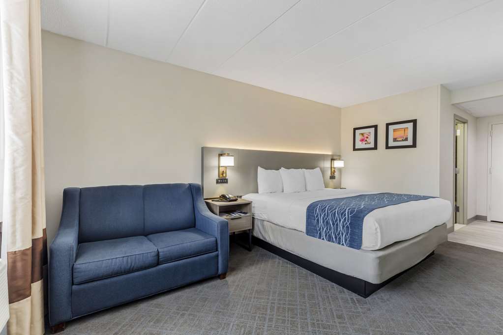 Comfort Inn Herndon Reston - photo 18