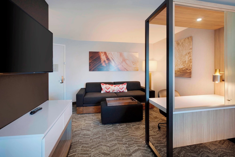 SpringHill Suites by Marriott Hampton Portsmouth - photo 11
