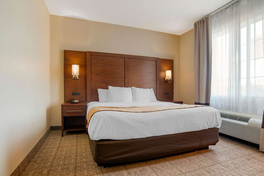 Comfort Suites Alexandria North - photo 16