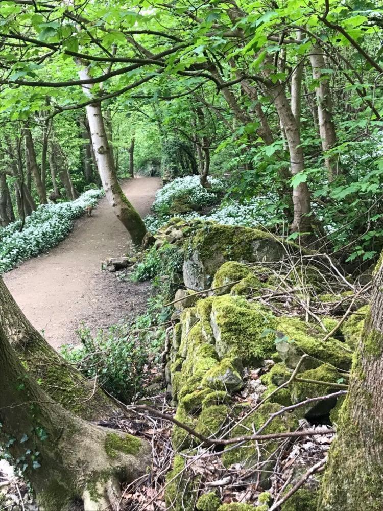 River Airebnb in Bradford, United Kingdom