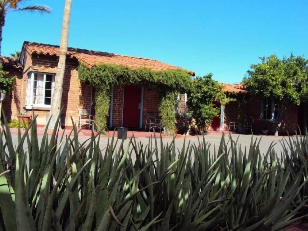 La Siesta Motel - photo 37