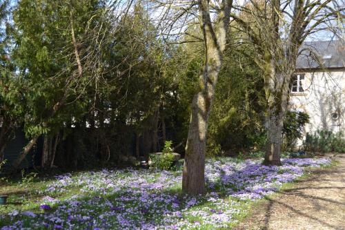 Domaine de Benveau in Bourges, France