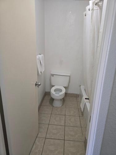 Carpet Inn - photo 4