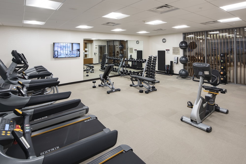 SpringHill Suites by Marriott Tampa Suncoast Parkway - photo 16