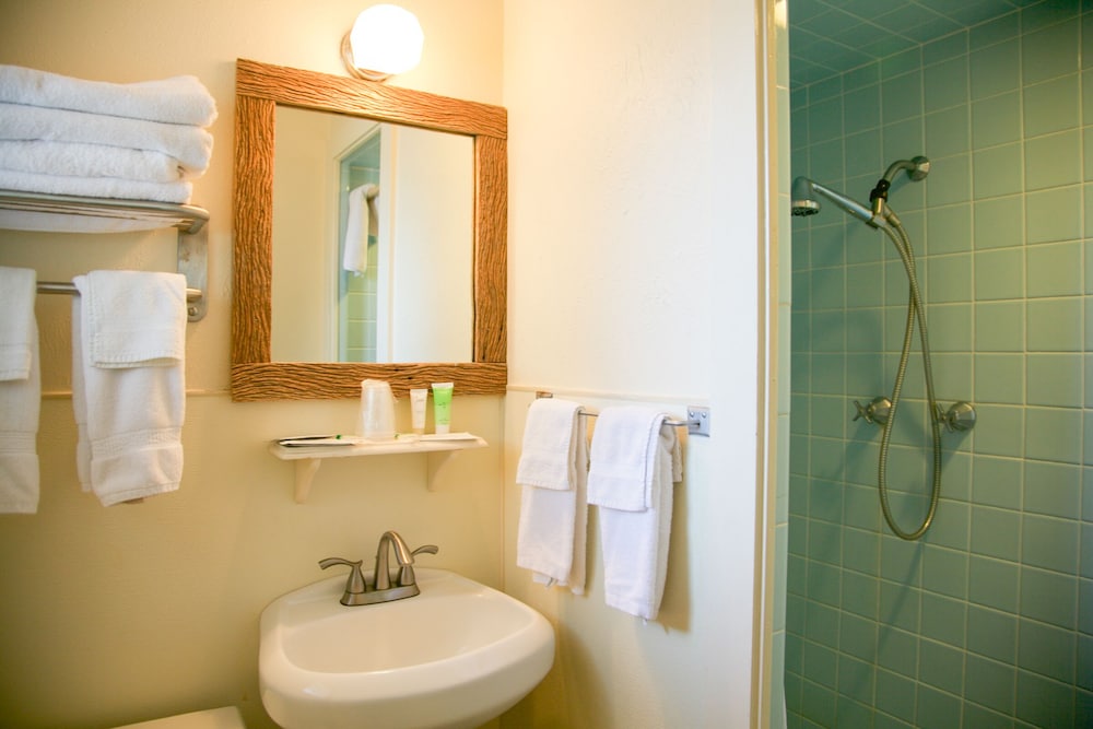 Shiner Country Inn - photo 25
