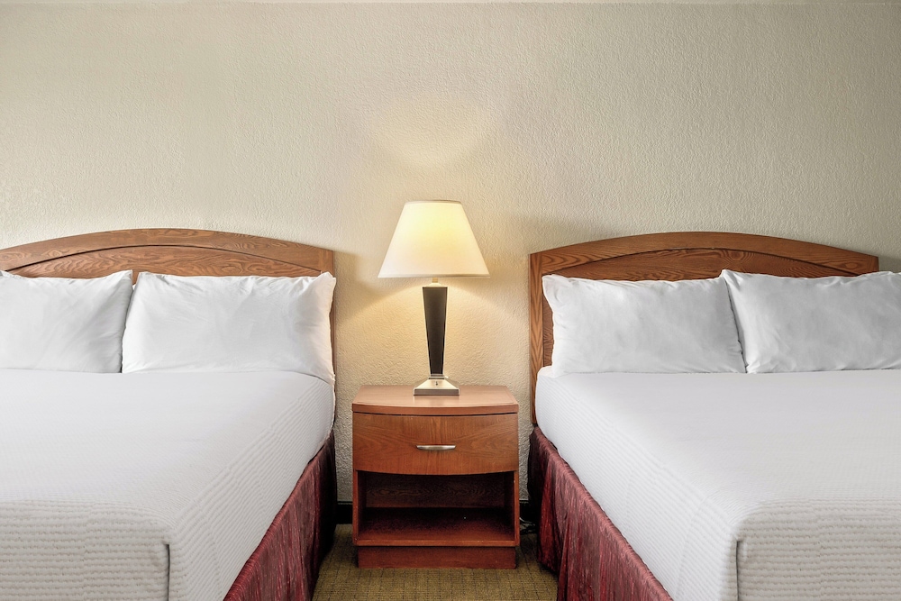 Golden Sails Hotel - photo 19
