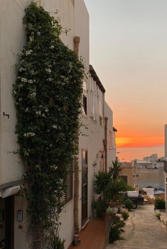 Isoladelmiele in Favignana, Italy