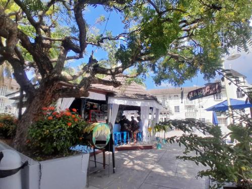 Beach Studio 21 in Ocho Rios, Jamaica