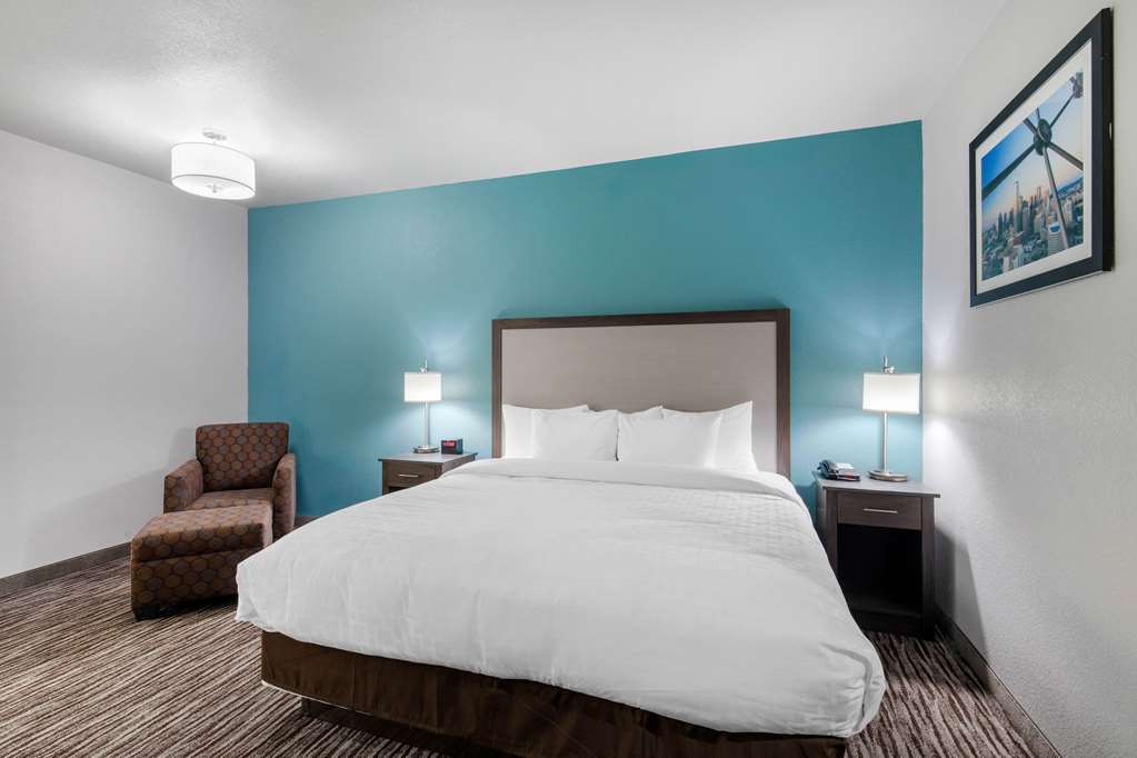 Clarion Inn & Suites DFW North - photo 26