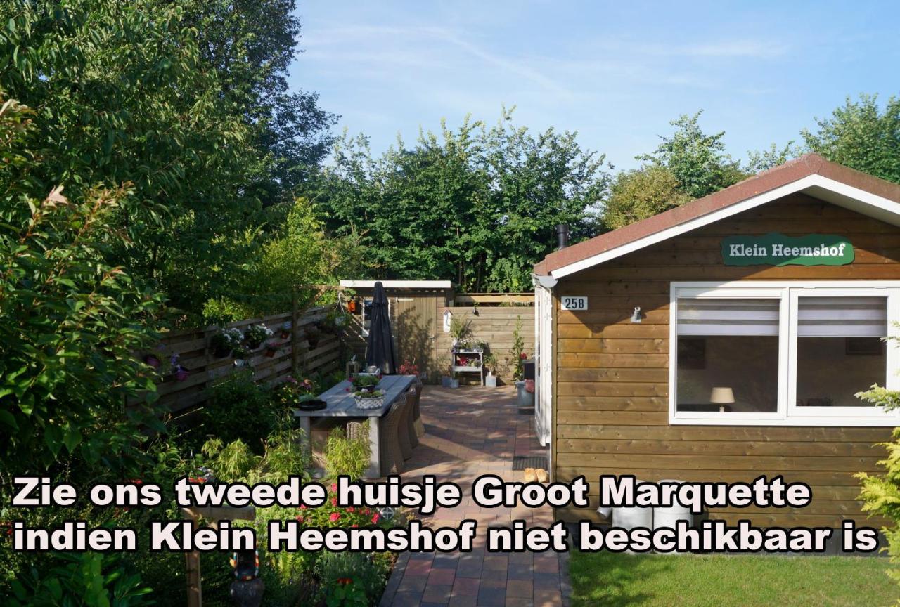 Klein Heemshof Noord Holland Aan Uw Voeten in Schagen, Netherlands