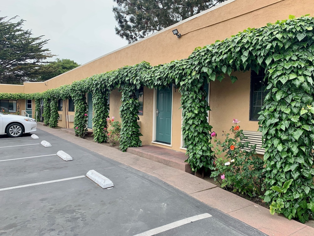 Monterey Oceanside Inn - photo 22
