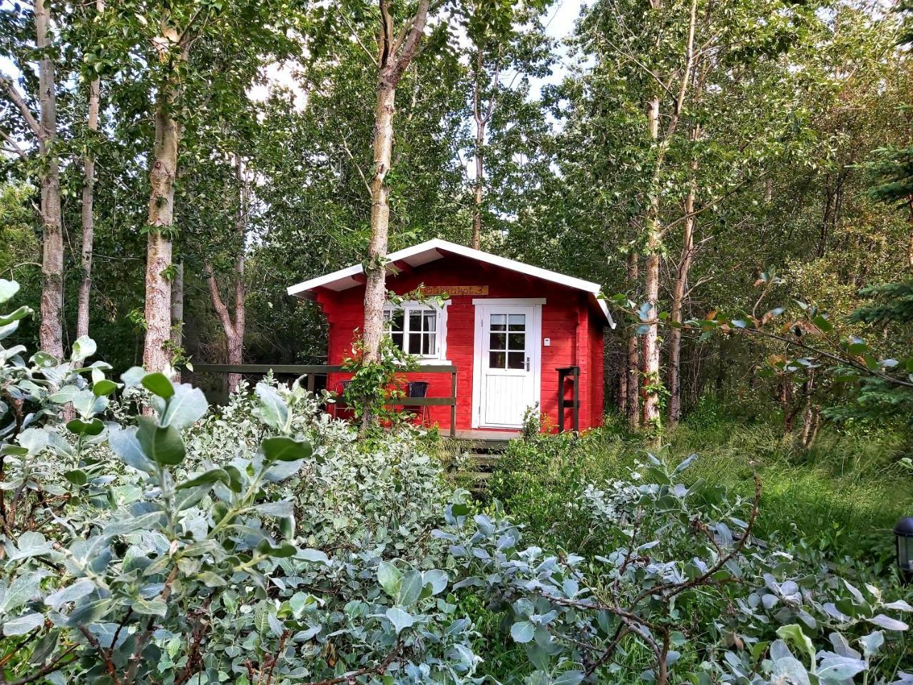 Bakkakot 3 Cozy Cabin in the Woods