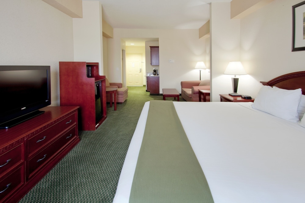 Holiday Inn Express & Suites West Palm Beach Metrocentre by IHG - photo 16