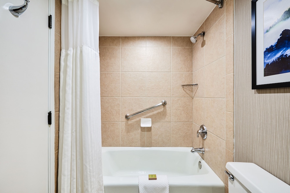 DoubleTree by Hilton Hotel Salt Lake City Airport - photo 29