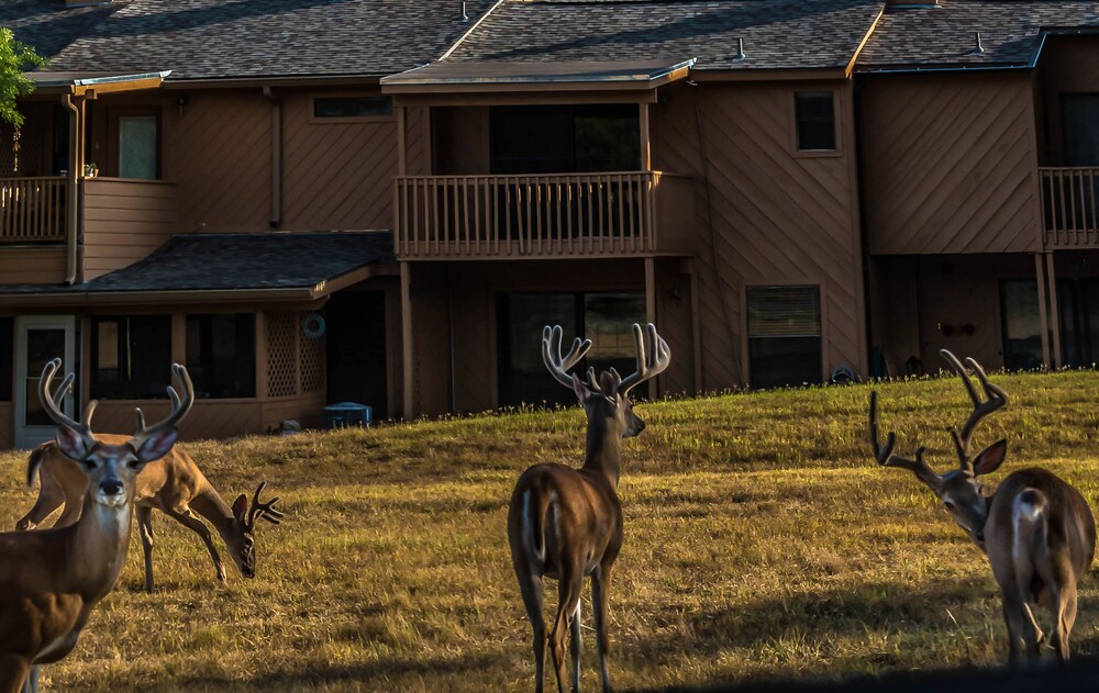 Cypress Fairway Village - photo 23
