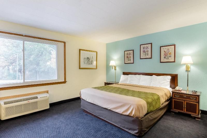 Red Roof Inn Sutton - photo 10
