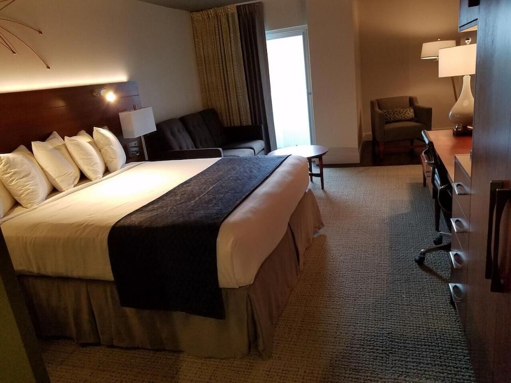 Alder Hotel Uptown New Orleans - photo 17