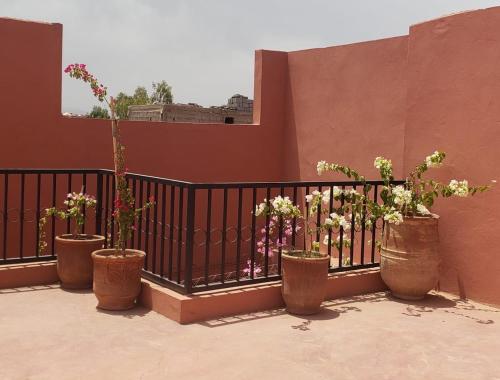 Step into our little oasis — Marrakesh — photo 5
